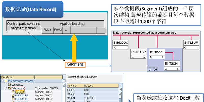 SAP数据库类型的选择与应用（深入了解不同SAP数据库类型及其适用场景）