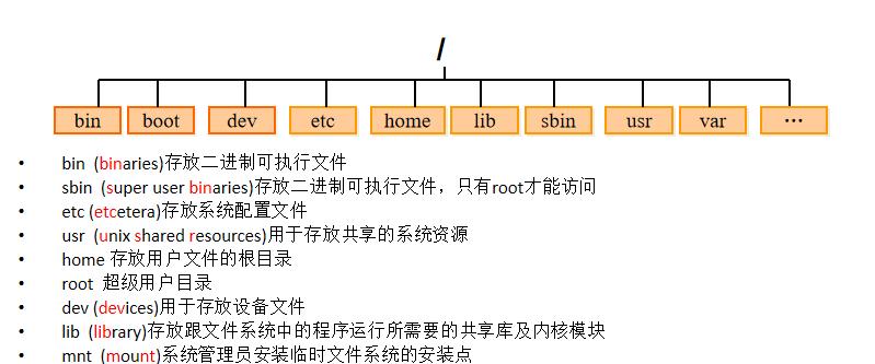 Linux中kill命令详解（掌握Linux中kill命令，有效管理进程）