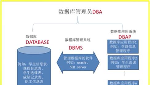 SQL数据库基础知识解析（深入探索SQL数据库的核心概念和操作技巧）