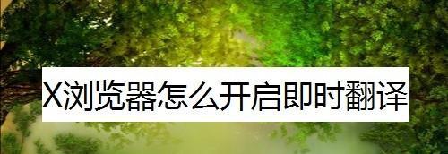 使用带翻译功能的浏览器，让你的上网体验更加便捷（探索如何利用浏览器翻译功能解决语言障碍）