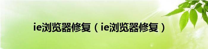 解决IE浏览器损坏问题的有效方法（掌握关键步骤）