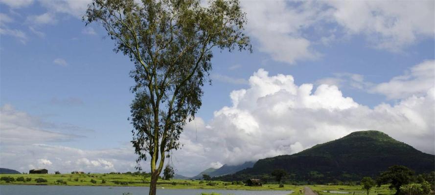 如何恢复电脑桌面原状背景（简单操作让你的电脑桌面焕然一新）