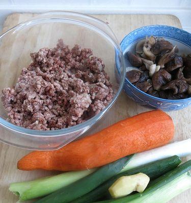 正宗牛肉饺子的制作方法（用正宗牛肉饺子馅制作美味佳肴）