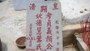 原地狗带是什么意思（揭开原地狗带背后的含义与起源）