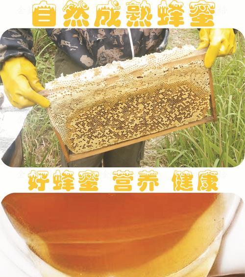 如何辨别蜂蜜的纯度（从外观到味道）