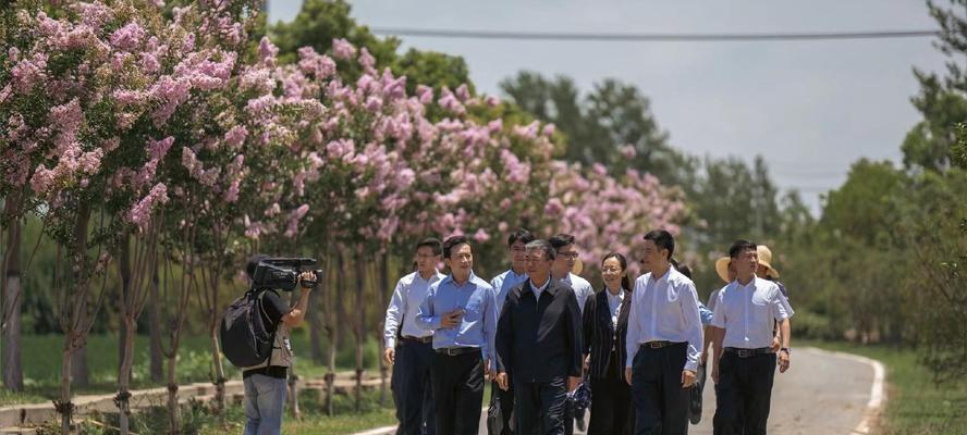 生命即将降临，这些预兆你了解吗（掌握关键信息）