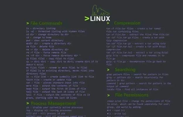 Linux入门基础知识详解（探索Linux操作系统的核心概念与基本使用技巧）