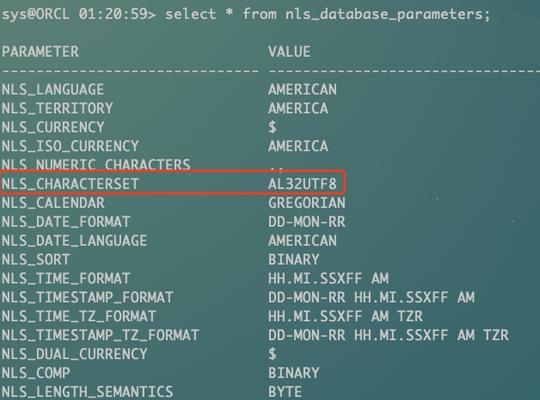 深入了解Oracle字符集查看语句（掌握Oracle字符集查询的常用方法及技巧）