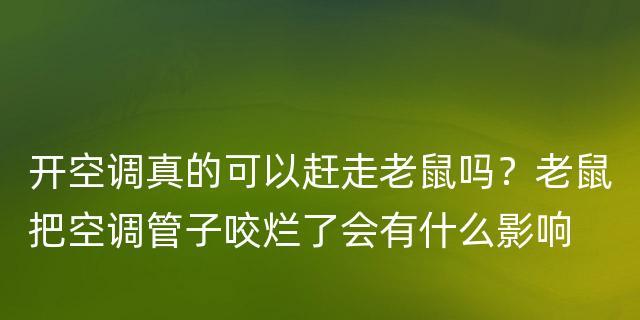 网络速度飞跃，揭秘让网络变得超级快的小妙招（助你畅享极速上网体验的秘诀一网打尽）