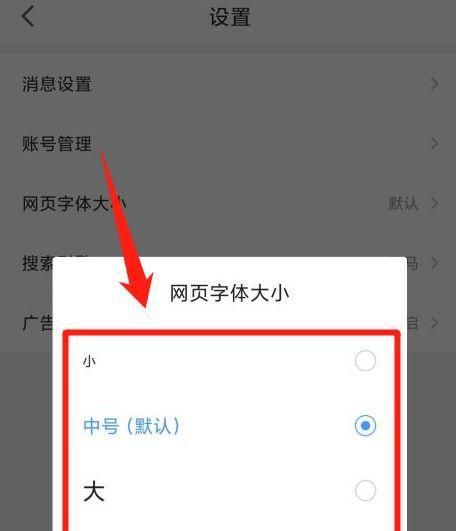 网页字体大小设置的重要性与调整方法（优化用户体验提升网页可读性）