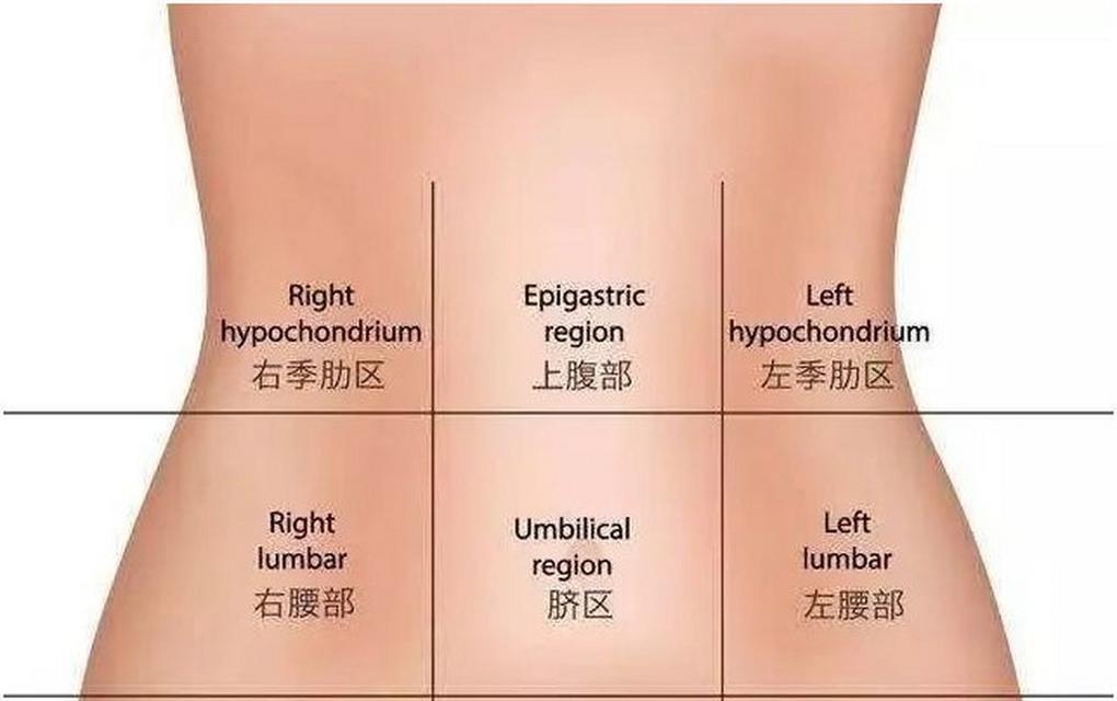 肚子痛的原因和治疗方法（揭开肚子痛的谜团）