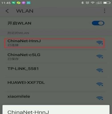 WiFi连接成功但无法上网的问题解决方法（探究无法上网的原因及解决方案）