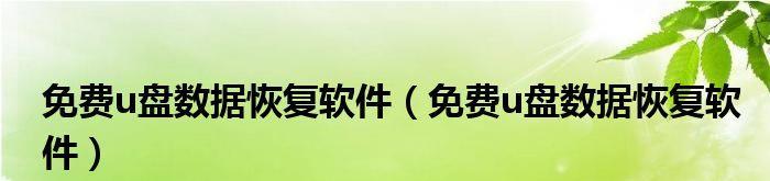 免费U盘数据恢复软件推荐（选择最适合您的免费U盘数据恢复软件）