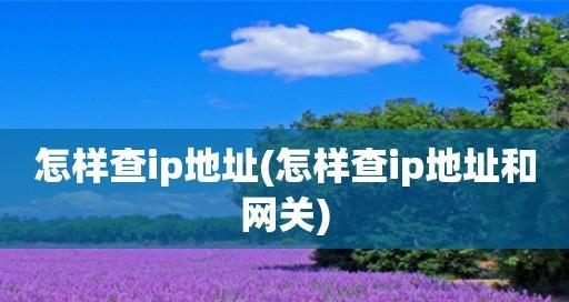 如何通过IP地址查找详细位置（用IP地址定位工具轻松获取详细位置信息）