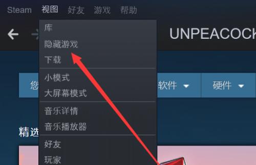 无互联网连接下，掌握Steam技巧的终极指南（如何在没有网络的情况下充分利用Steam平台提升游戏体验）