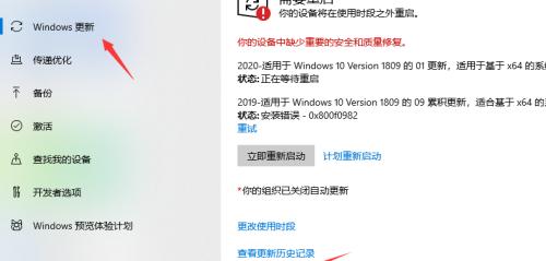 如何取消Win10自动更新系统（简单教程帮你轻松解决烦恼）