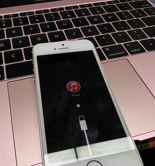 一步步教你简单恢复已停用的iPhone