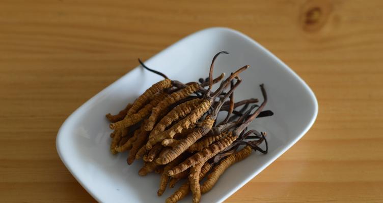 冬虫夏草的真假区分方法（揭秘冬虫夏草真伪）