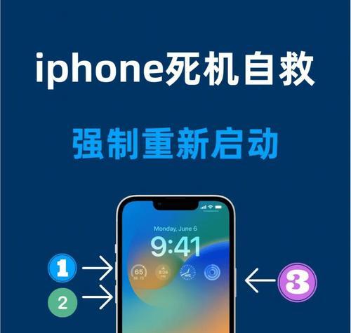 教你苹果手机死机重启方法（解决苹果手机死机的简便方法）