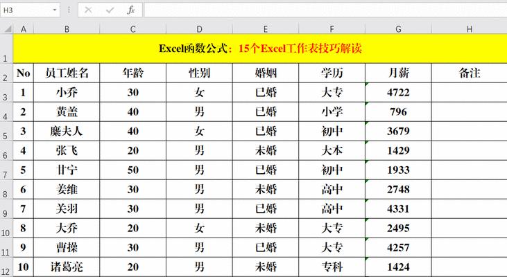 Excel常用技巧大全（15个实用技巧助你成为Excel高手）