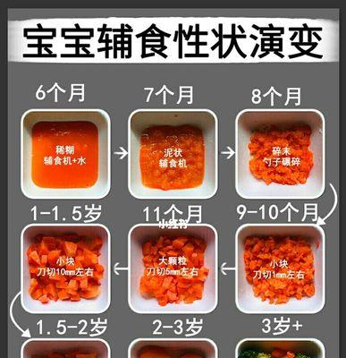 宝宝添加辅食的最佳时间（科学指导下的宝宝辅食添加时机选择）