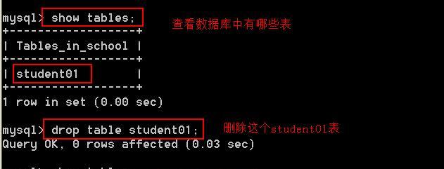 MySQL数据库教程（学习MySQL数据库的基本知识和高级应用技巧）