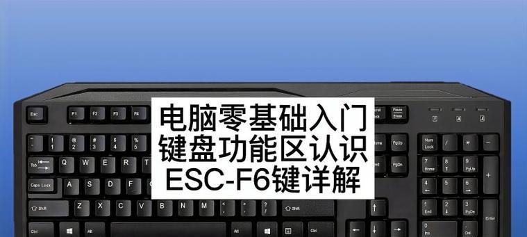 全面了解新手电脑键盘功能（打造高效工作与畅快娱乐的利器）