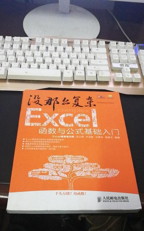 Excel函数入门基础知识解析（掌握Excel函数）