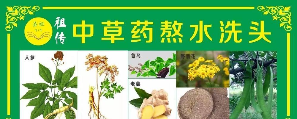 茶麸洗头的正确方法（发现秀发的自然之美——以茶麸洗头的正确方法）