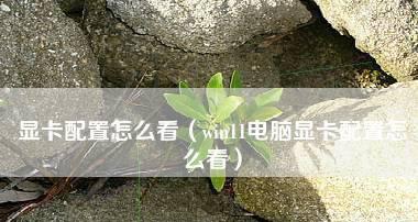 如何选择适合你的笔记本电脑显卡（考虑性能和需求的关键因素）