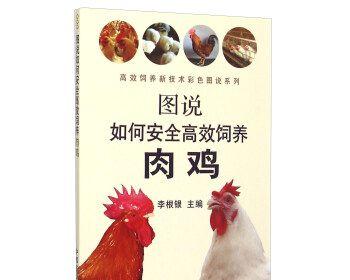 禽流感防控措施大揭秘（有效预防禽流感的关键措施及注意事项）