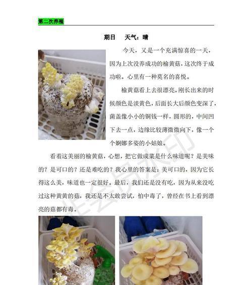 室内种菌菇的养殖技巧（学习如何在家中成功种植菌菇）