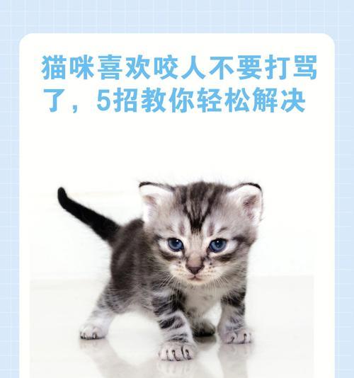 如何纠正猫咬人手的行为（有效方法让你的猫停止咬手）