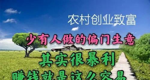 网络搞钱路子大全（网络赚钱的方法和技巧分享）