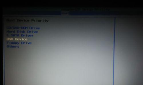 如何将新手U盘设置为第一启动项（轻松实现电脑启动项设置）