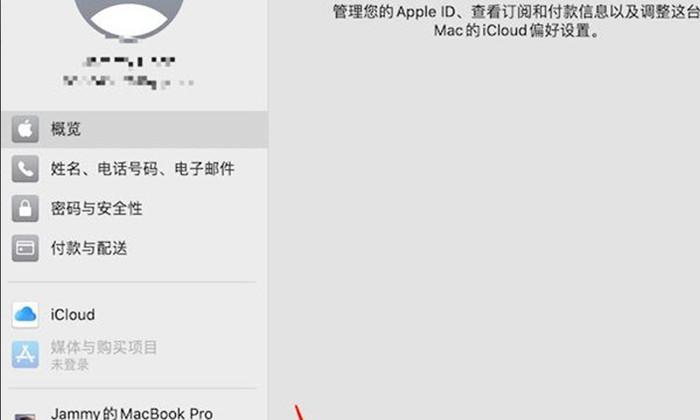 Mac退出Apple ID账号的方法是什么？遇到问题怎么解决？