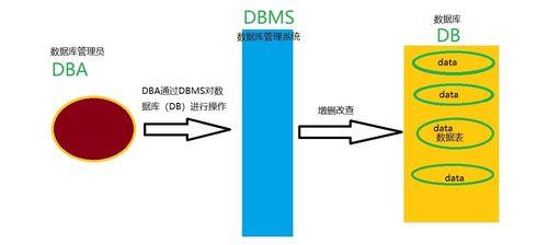 主流数据库都有哪几个类型？它们的特点和常见问题是什么？