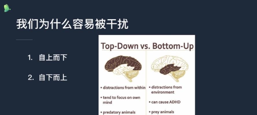 怎样可以增强记忆力和集中注意力？有效方法有哪些？