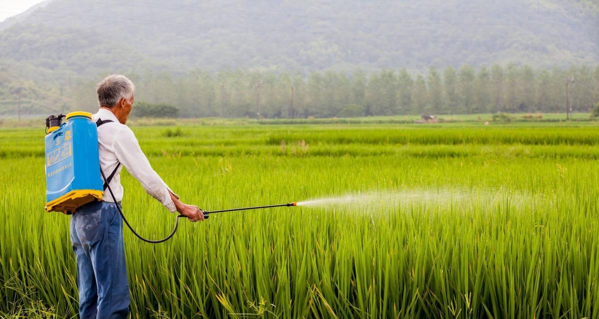 现在种植什么最好农作物？2024年哪些农作物最有市场潜力？