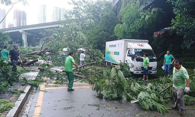 台风为什么叫山竹？背后的原因是什么？