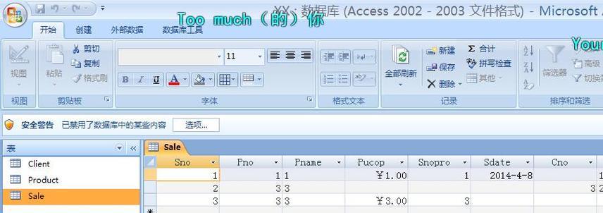 access数据库入门教程？如何快速掌握基础知识？