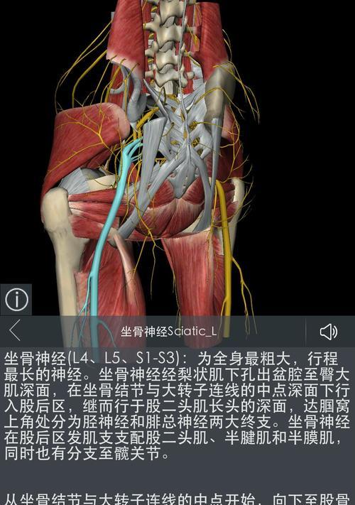 得了坐骨神经痛怎么办？有效缓解方法有哪些？