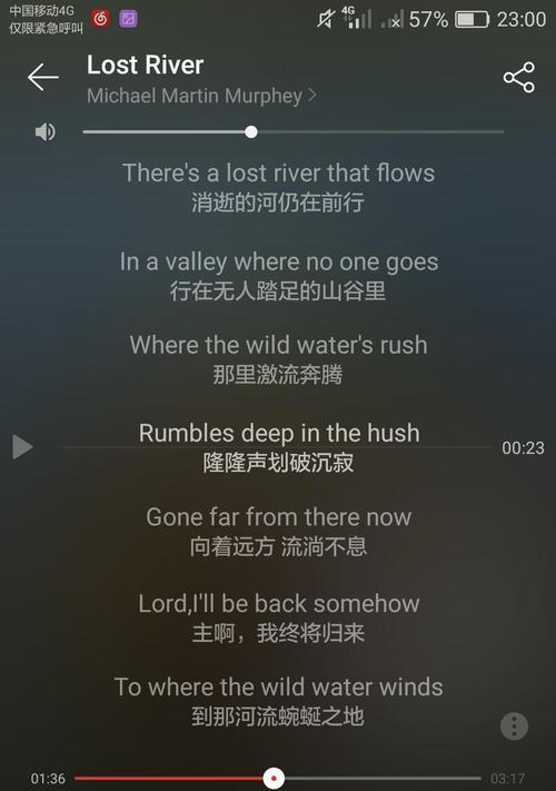 网易云翻译歌曲如何下载？内存卡空间如何管理？