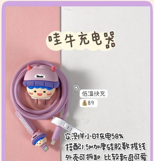 苹果充电器的组成部分有哪些？详细说明是什么？