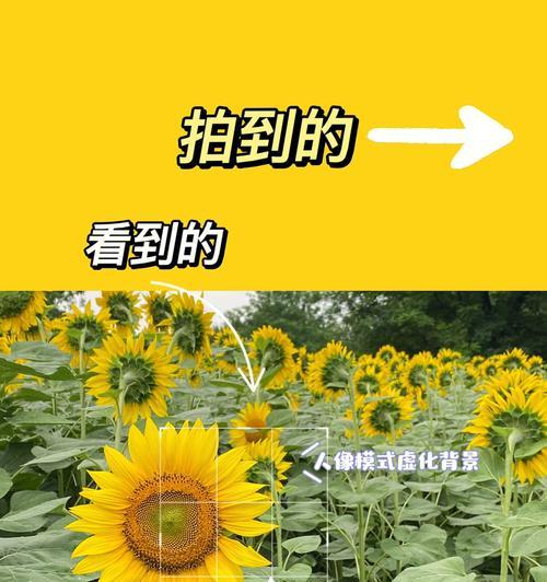 手机镜头拍照的原理是什么？如何查看原理图？